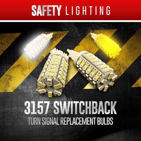 3157 Switchback Bulbs